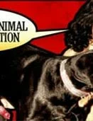 ANIMAL SEX COLLECTION
