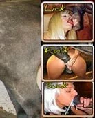 ANIMAL SEX COLLECTION